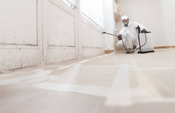 24/7 Emergency Attic Mold Remediation experts in Thomasville, GA