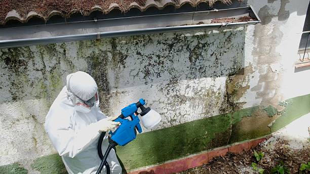 Top rated local Attic Mold Remediation specialists in Thomasville, GA